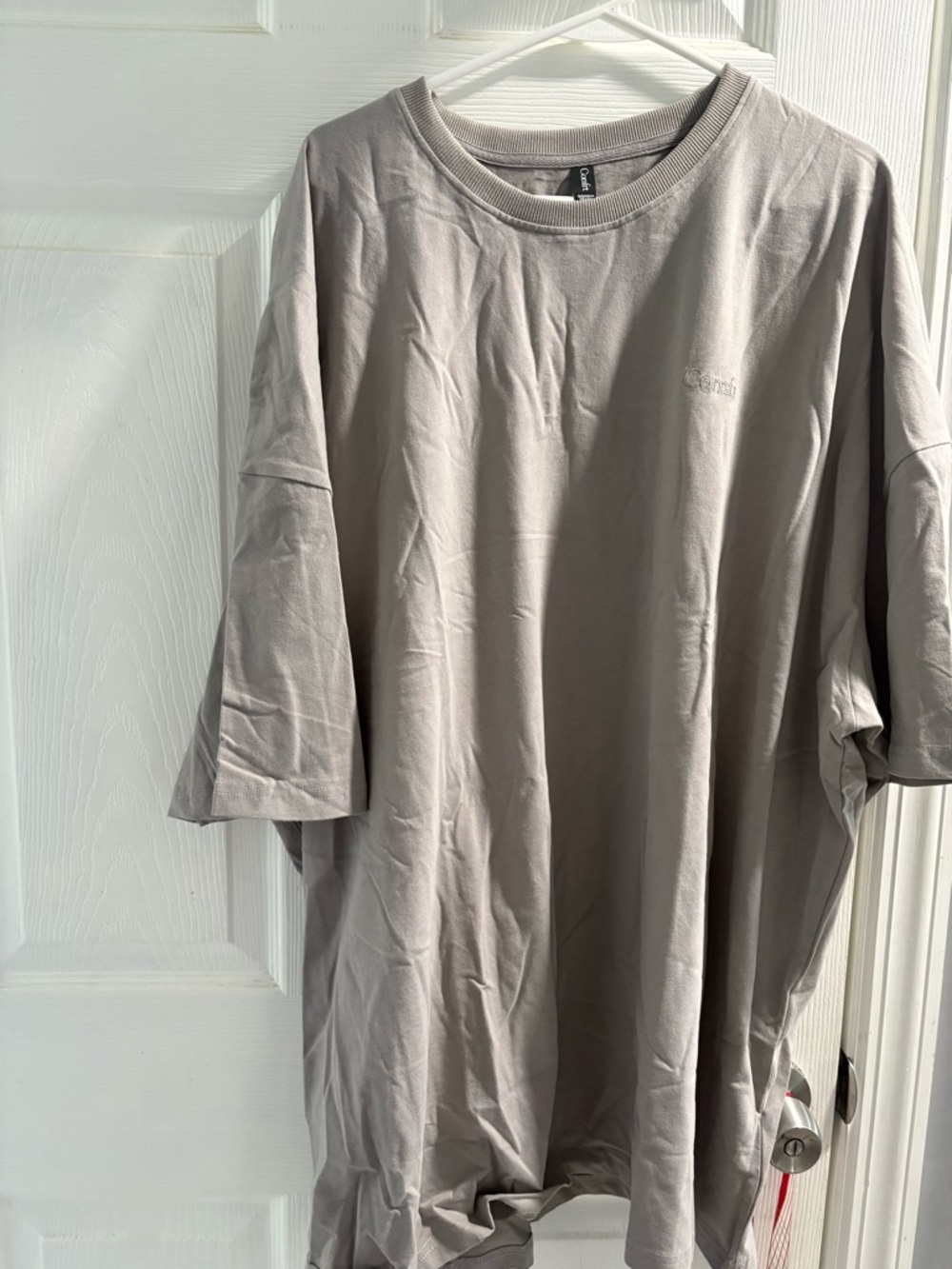 Casual Oversized Tee in Taupe - Subtle Chest Logo PO-1/8